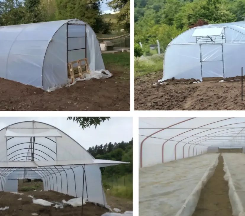 Zyn Tingöz Seracılık